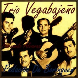 Pedacito de Borinquen