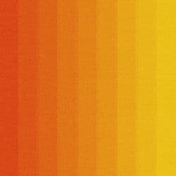 Sensory Alignment: Composed for Calm