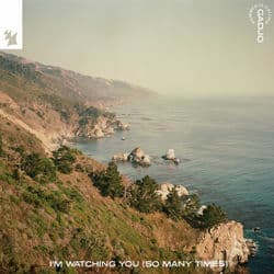 I'm Watching You (So Many Times)