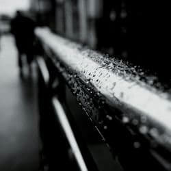 Midnight Rain on the Keys