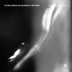 Flying Above Us (Slowed & Reverb)