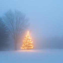 we wish you a merry christmas (ambient)