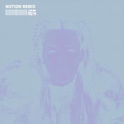 The Days (NOTION Remix)