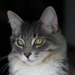 Places To Go (sped up)