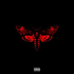 I Am Not A Human Being II