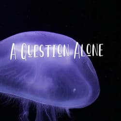 A Question Alone