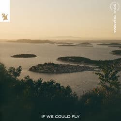 If We Could Fly