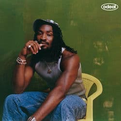 The Summer That Saved Me