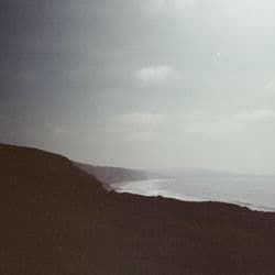 a garden grows between us