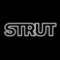 Strut (Slowed + Nightcore)