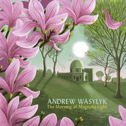 The Morning of Magnolia Light