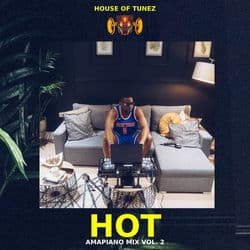 DJ Tunez: HOT Amapiano Mix Vol. 2 (DJ Mix)