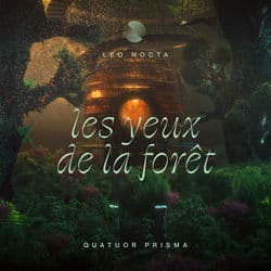 Les Yeux de la Forêt