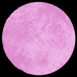 D.O.T.S (FloFilz Remix)