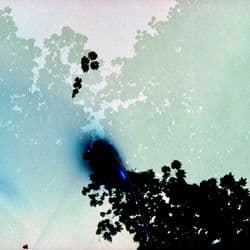 Of Bridges and Benches (Solo Piano Version)