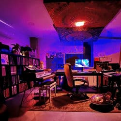 Beats Under the Tree