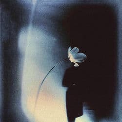 Experience love (Orchestral Version)