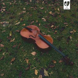 Cello Melodies