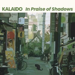 In Praise of Shadows