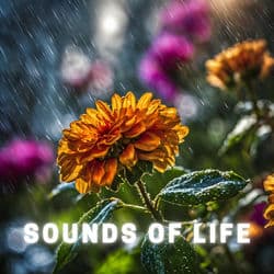 Sounds of Life