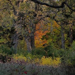 what if it all works out