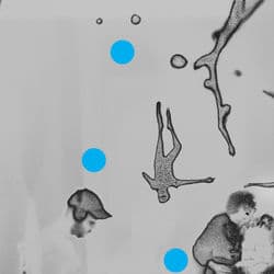 Don't Become What You Hate